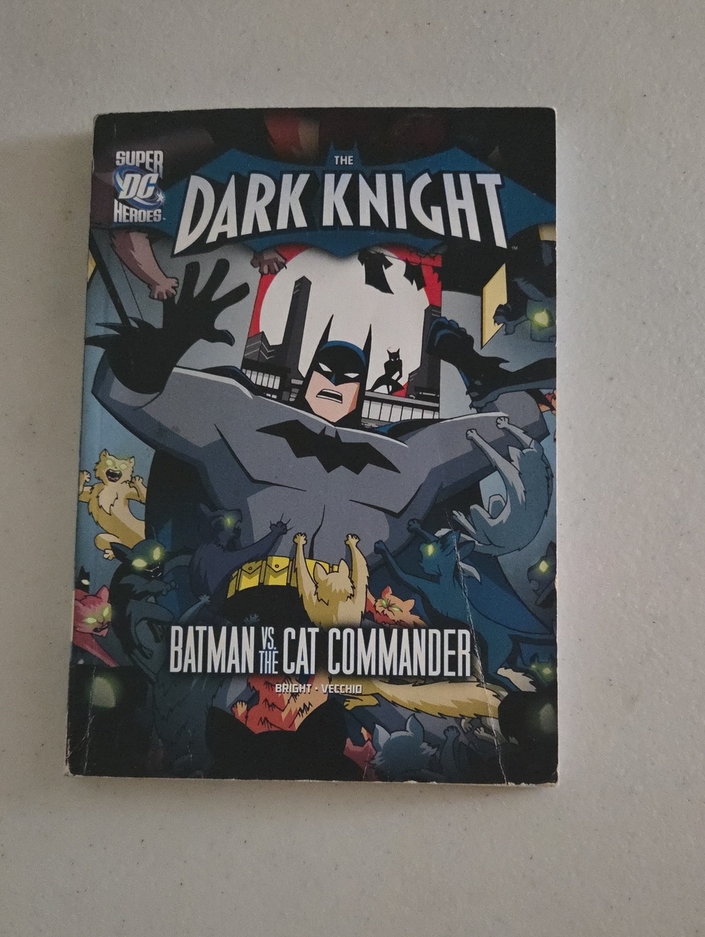 DC Super Heroes Paperback – Blue & Black